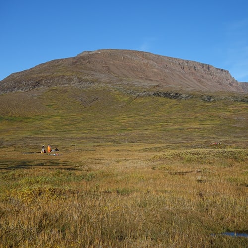 Scientists are conducting field work in an open area.