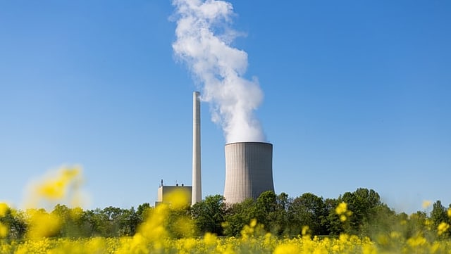 Zu sehen ist ein rauchendes Kohlekraftwerk umgeben von Bäumen und einem Rapsfeld vor einem blauen Himmel.