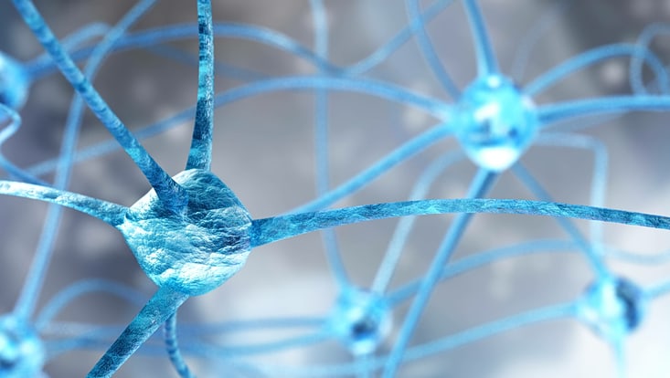 3d rendered neural network