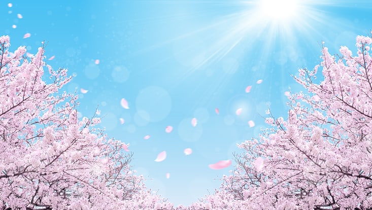 Blüten