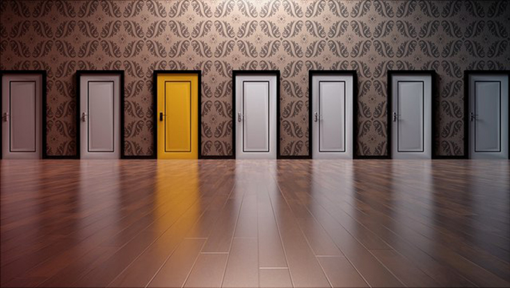 doors-733x414 Türen