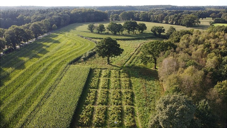 A view on an experimental site from the Carbdown project, where in field ESW is tested.