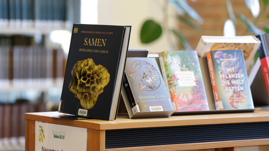 Bücher in der Bibliothek