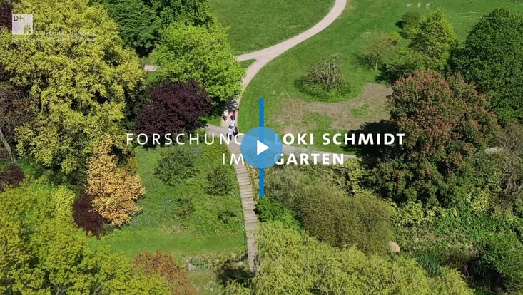Luftaufnahme vom Loki Schmidt Garten