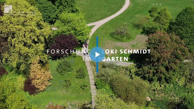 Screenshot eines Viedeos von der Forschungsgruppe Prof. Fründ