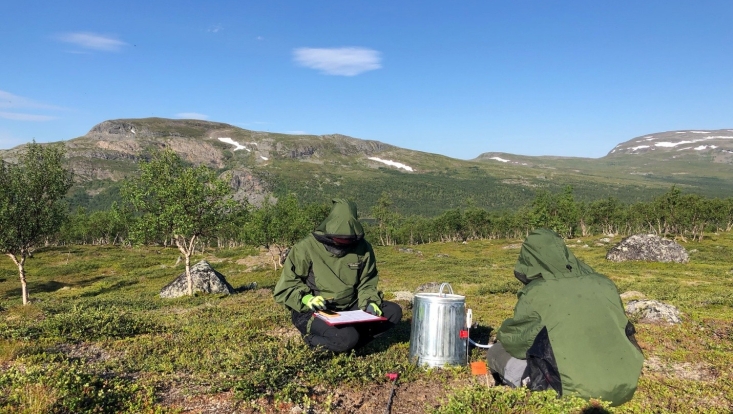 COLDSPOT-Feldkampagne in Finnland 2025
