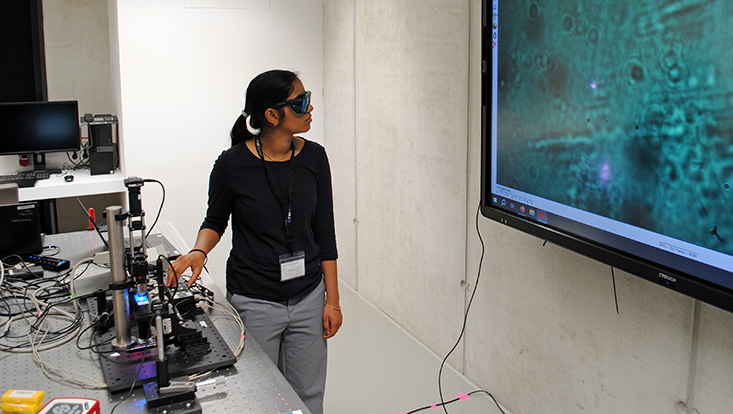 Physik-Projekt-Tage 2025