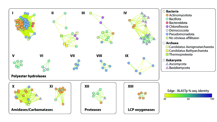 Sequence similarity network (SSN) von 175 charakterisierten mikrobiellen, kunststoffaktiven Enzymen und ihrer phylogenetischen Zugehörigkeit.