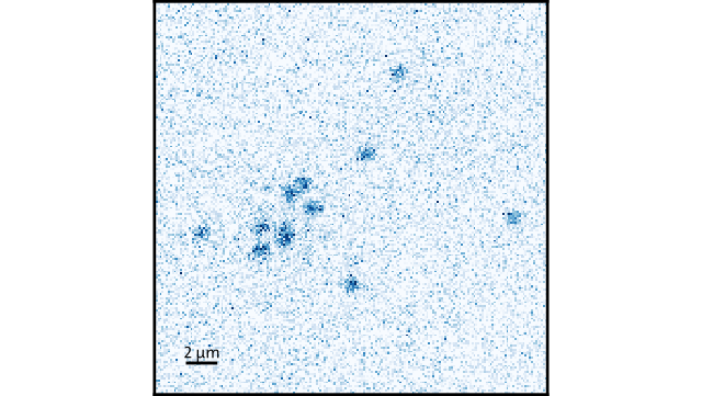 single-atoms Individual atoms seen through fluorescence imaging.