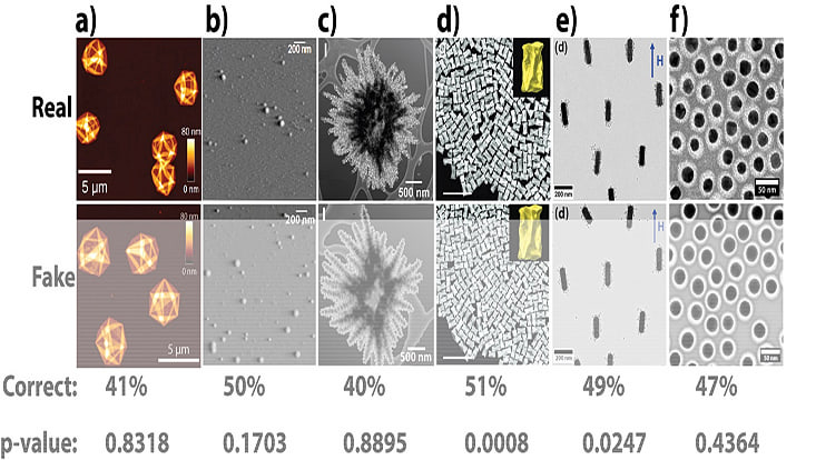 Wissenschaftliche Bilder