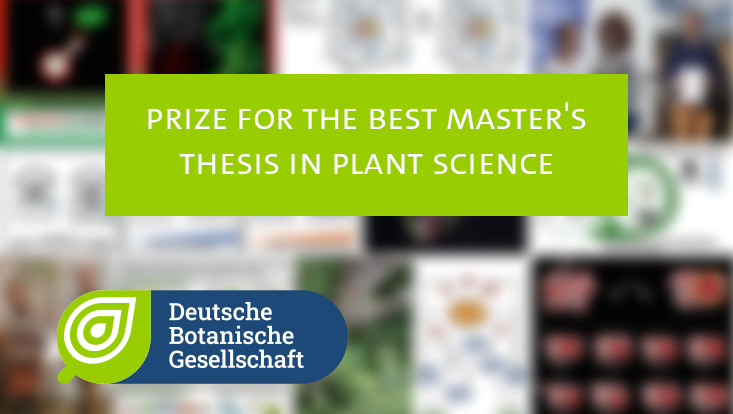 Image for the announcement of the DBG Master's Prize