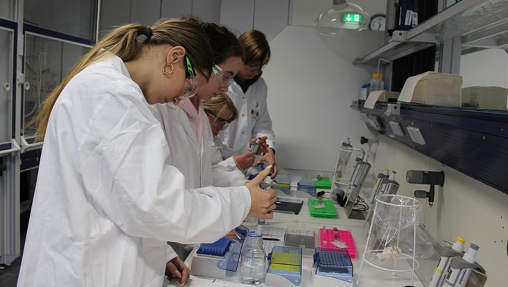 img-5870-733x414 Schüler beim Ferienpraktikum 2025