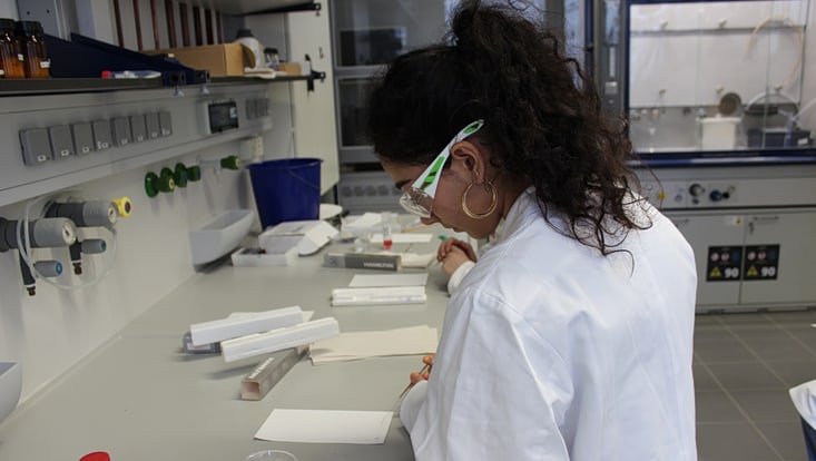 img-5873-733x414 Schüler beim Ferienpraktikum 2025