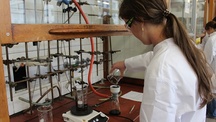 img-5886-733x414 Schüler beim Ferienpraktikum 2025