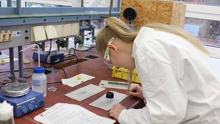 img-5901-733x414 Schüler beim Ferienpraktikum 2025