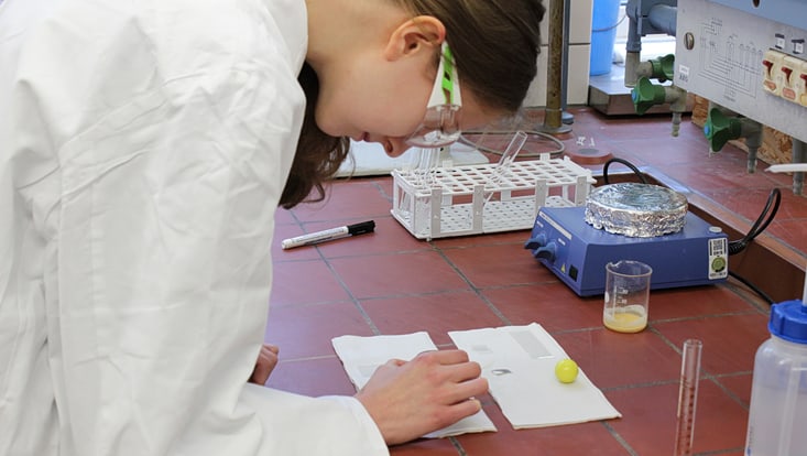 img-5903-733x414 Schüler beim Ferienpraktikum 2025