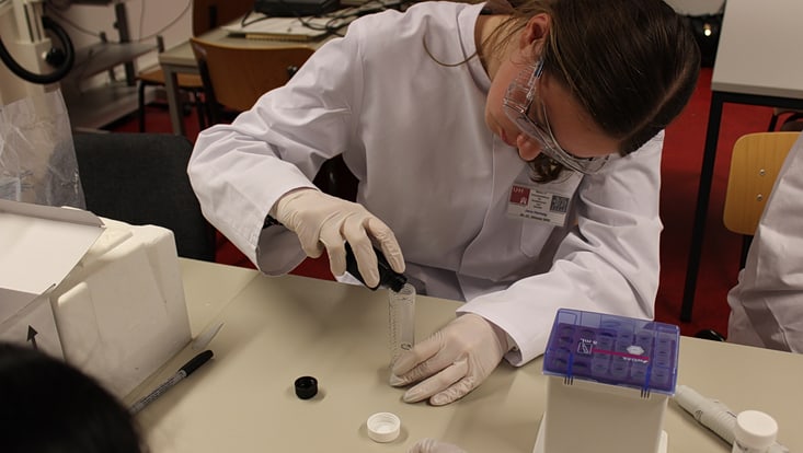 img-5916-733x414 Schüler beim Ferienpraktikum 2025