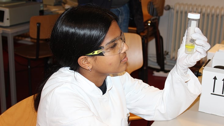 img-5921-733x414 Schüler beim Ferienpraktikum 2025