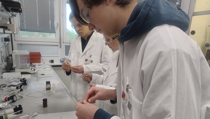 img-20251021-06-733x414 Schüler beim Ferienpraktikum 2025