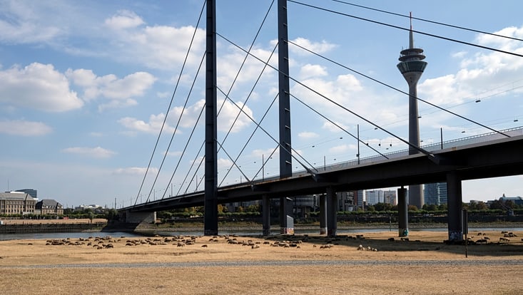 Auf dem Bild ist eine Brücke zu sehen. Darunter ist das ausgetrocknete Flussbett vom Rhein, der durch extreme Hitze ausgetrocknet ist, so dass es kaum noch Wasser unter der Brücke gibt und es einer Wüstenlandschaft gleicht.