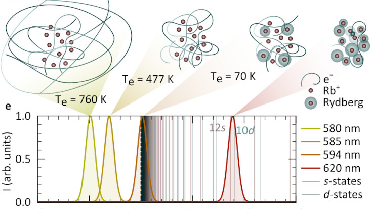 Dense Rydberg gases