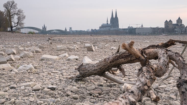 Das Bild zeigt das ausgetrocknete Flussbett vom Rhein. Im Hintergrund ist der Kölner Dom zu sehen.