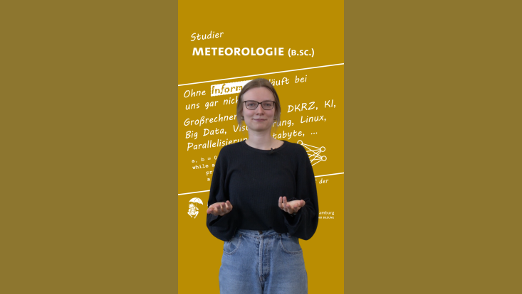 stmet-folge4-733x414 Statement 4 – Informatik