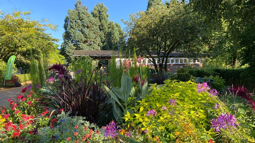 Blick auf den üppig bunt bepflanzten Besuchereingang des Botanischen Gartens Hambugr