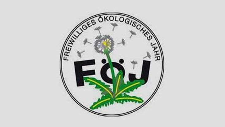 Logo des FÖJ
