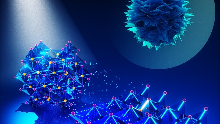 Wissenschaftliche Illustration