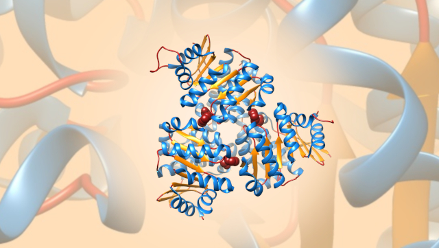 Structural Infection Biology Hydroxyethylthiazole Kinase ThiM in complex with substrate analog