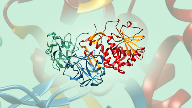 Specific Plant Lectins Mistletoe Lectin I (ML-I)