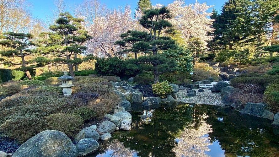 Blick in den Japangarten im loki-Schmidt-Garten