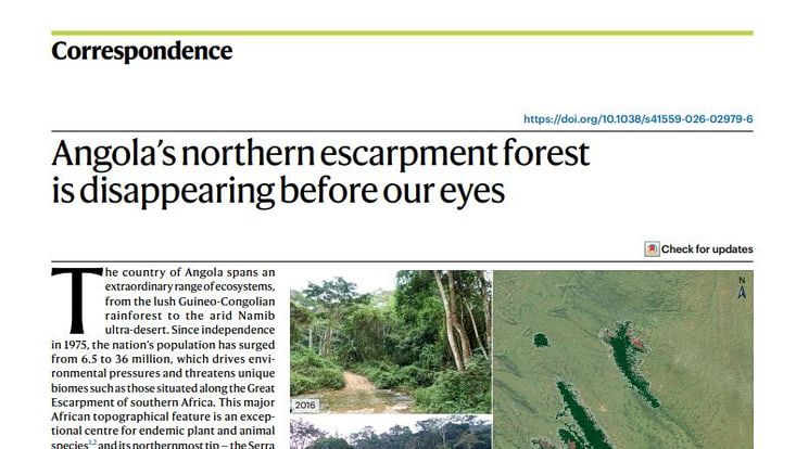 Ausschnitt aus einer Nature-Publikation