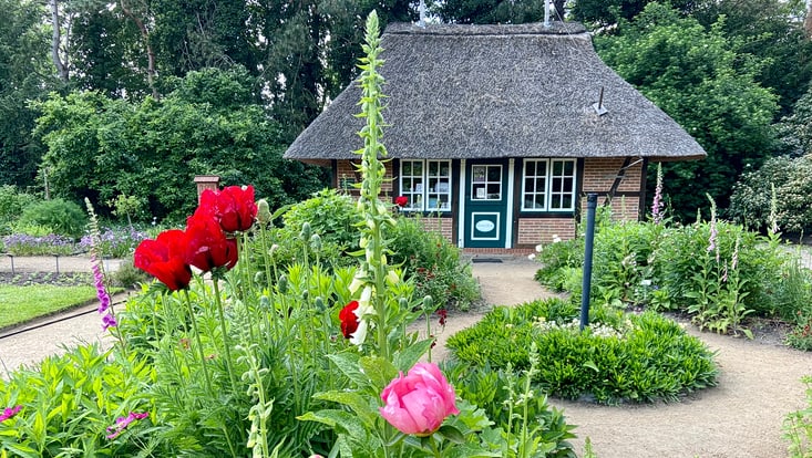 Blick in den Bauerngarten im Loki-Schmidt-Garten mit dem Reetdachhäuschen des GArtenshops im Hintergrund