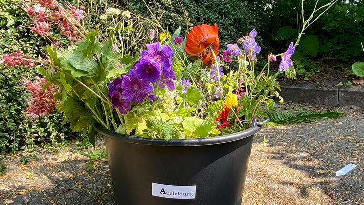 ausbildung-733x414 Bunter Strauß Sommerblumen in einem schwarzen Eimer mit dem Schriftzug "Ausbildung" darauf