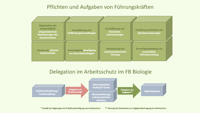 Organigram Arbeitssicherheit