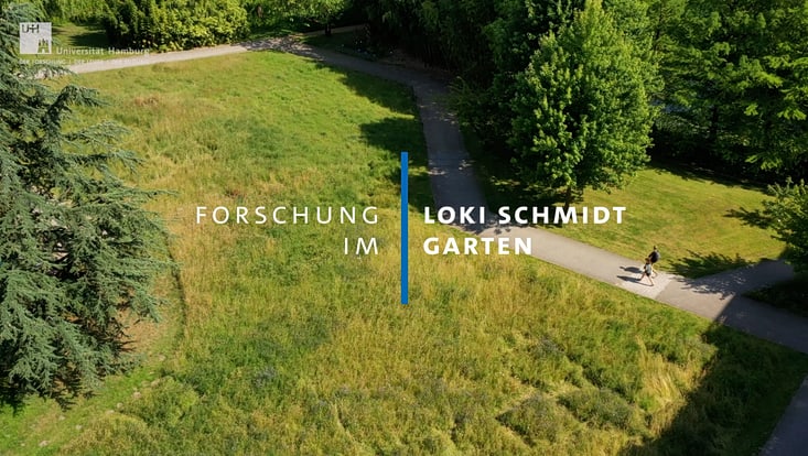 Luftbild vom Loki-Schmidt-Garten
