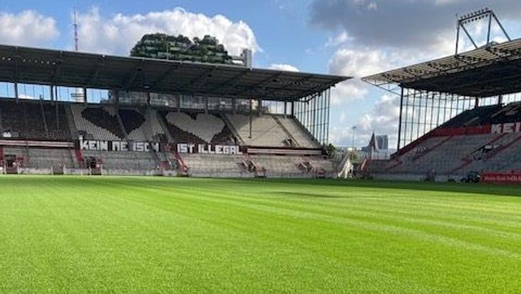 Der Rasen des Millerntorstadions
