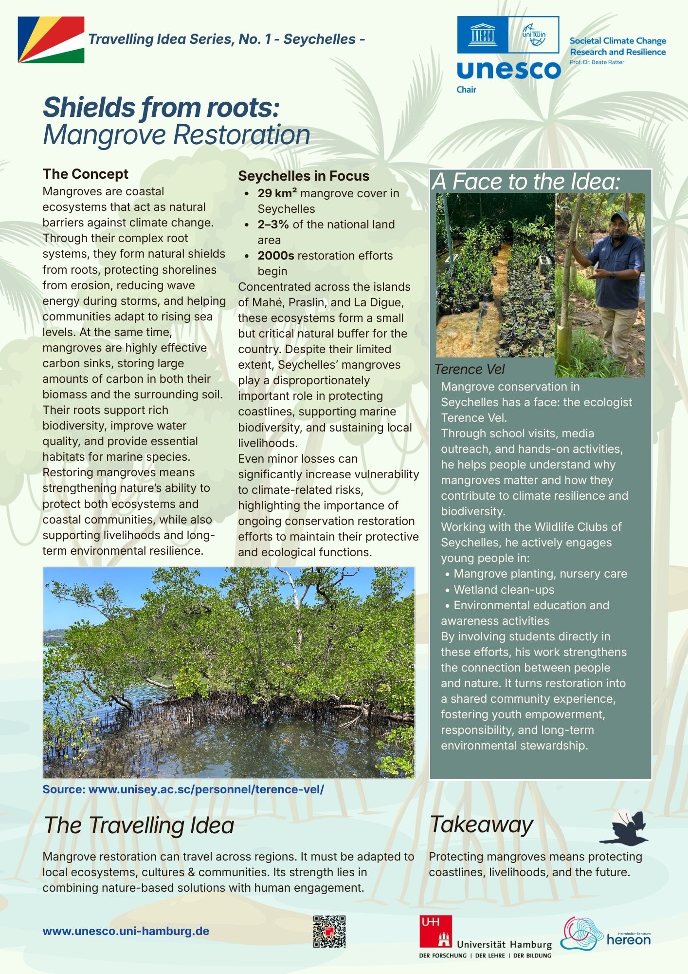 1. Travelling Idea Series-Mangrove Restoration