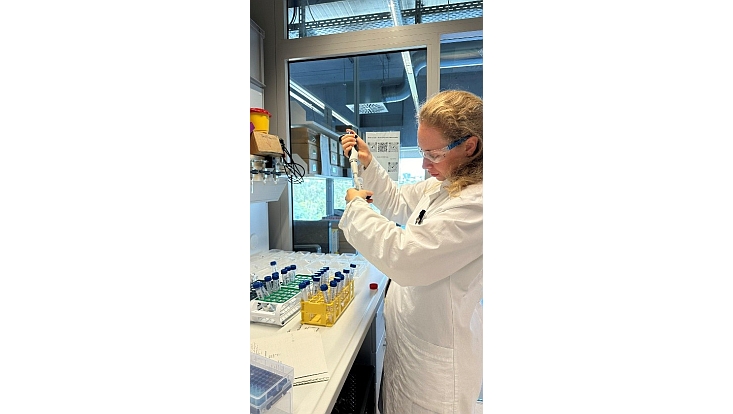 Vorbereitung des fluorometrischen Enzymtests der Bodenproben aus dem Lysimeter-Experiment