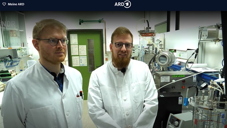 Nylonabbauende Bakterien im NDR