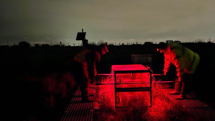 Hauben-Gasflussmessungen in der Dunkelheit