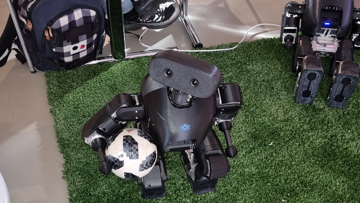 Kleiner Fußballroboter schaut hoch.