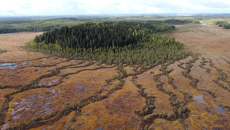 Zu sehen ist eine Moorlandschaft, aufgenommen aus der Luft.