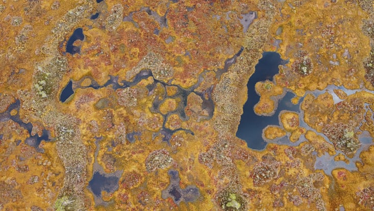Zu sehen ist eine Moorlandschaft, aufgenommen aus der Luft.