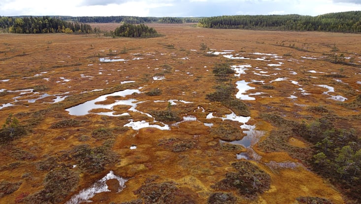 Zu sehen ist eine Moorlandschaft, aufgenommen aus der Luft.