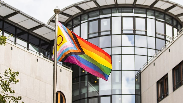 A Pride flag in front of a building at the University of Hamburg