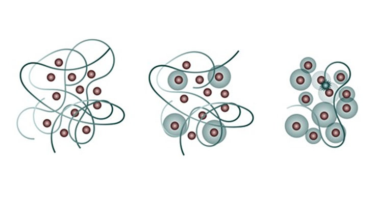 Scientific illustration of the transition