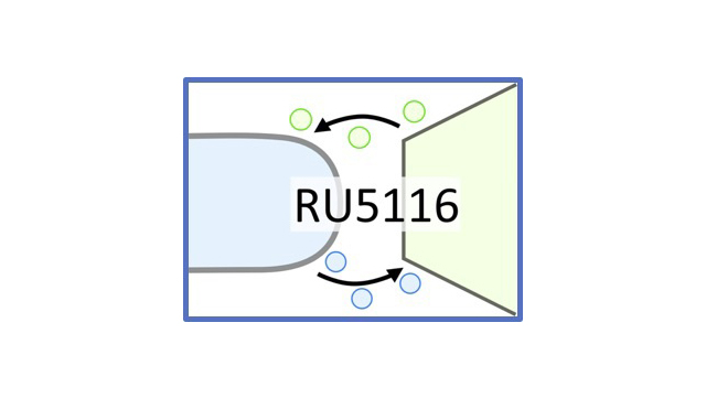 Plant-microbe communication through extracellular RNA